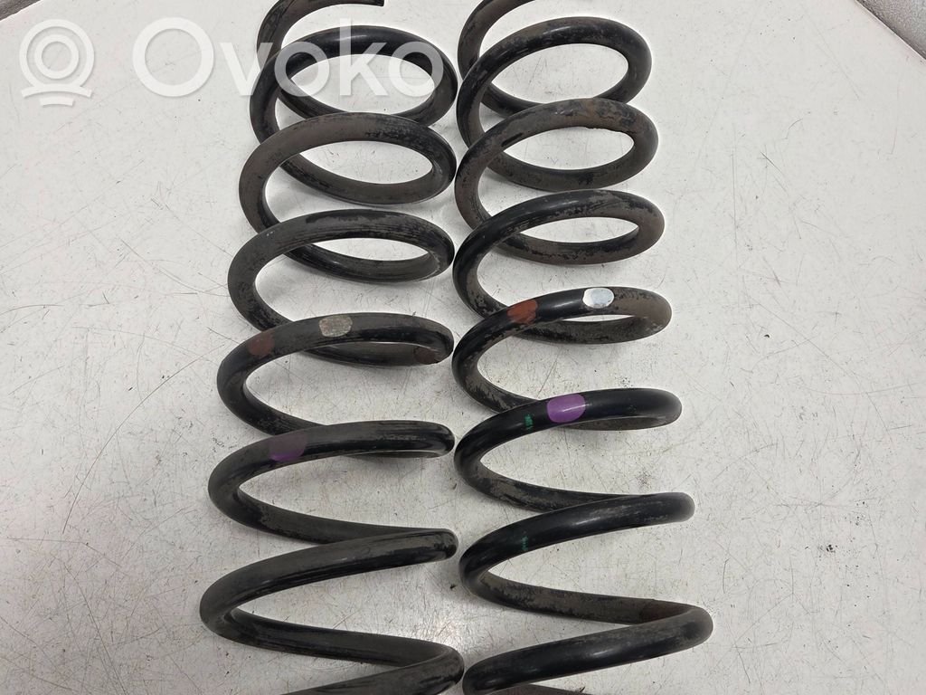 Rear coil spring