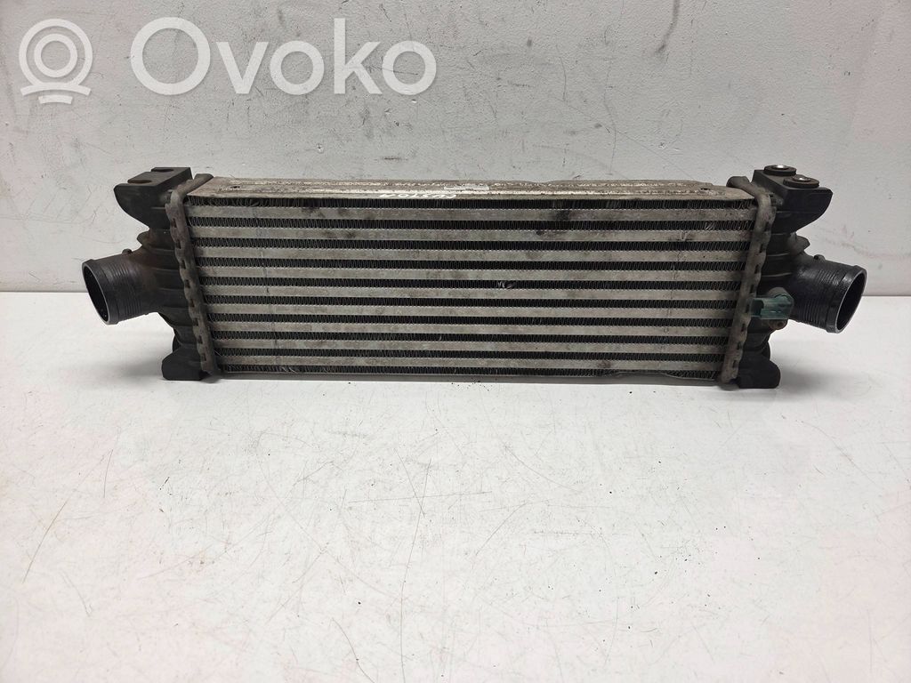 Intercooler radiator   CC119L440AF