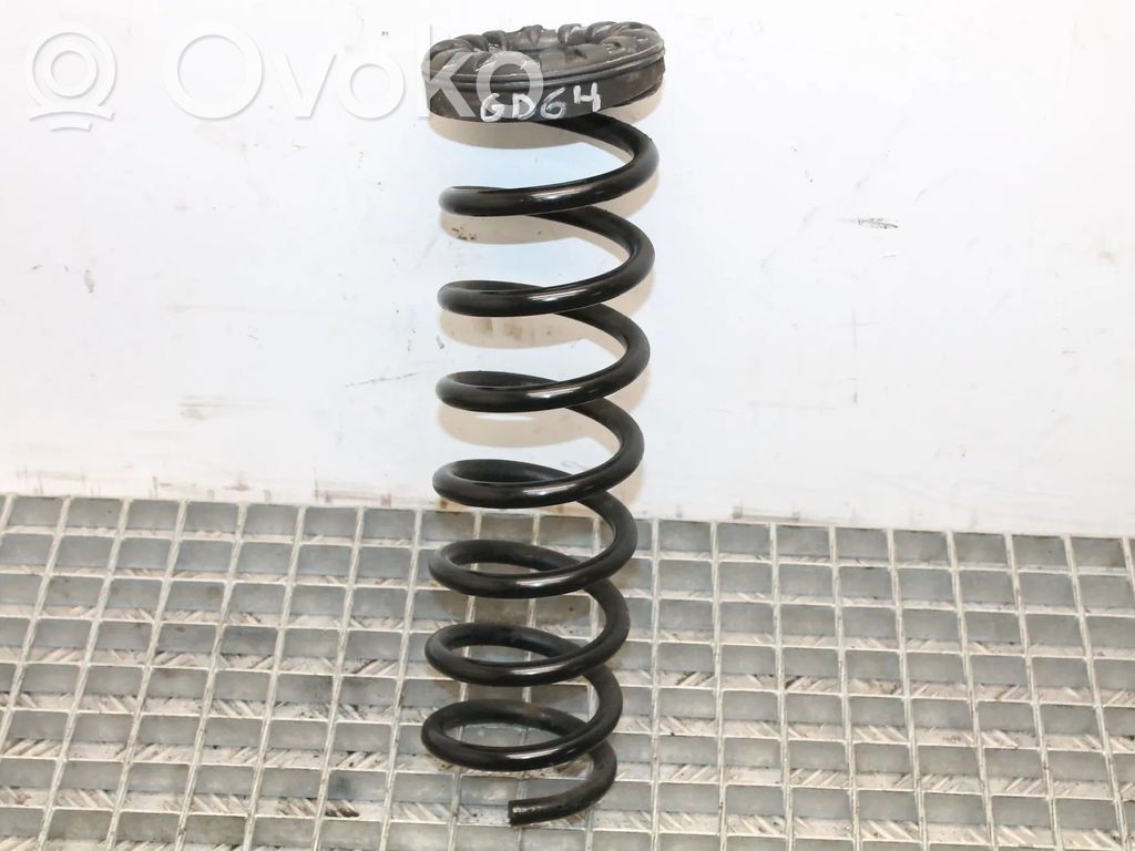 Rear coil spring