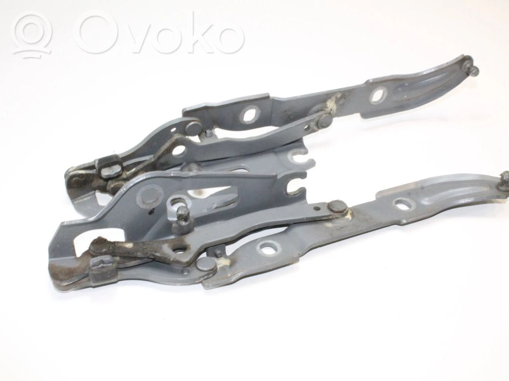 Tailgate/trunk/boot hinge   7060628