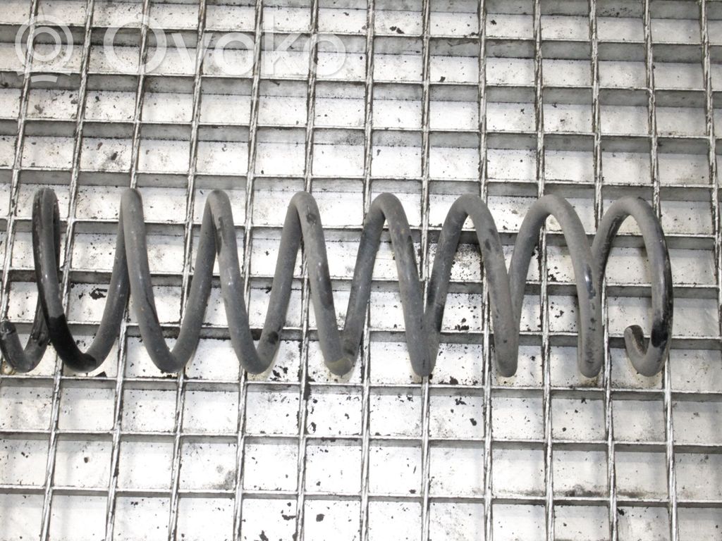 Rear coil spring