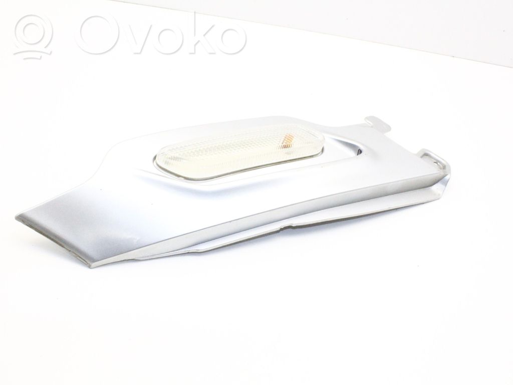 Seitenblinker   9802607
