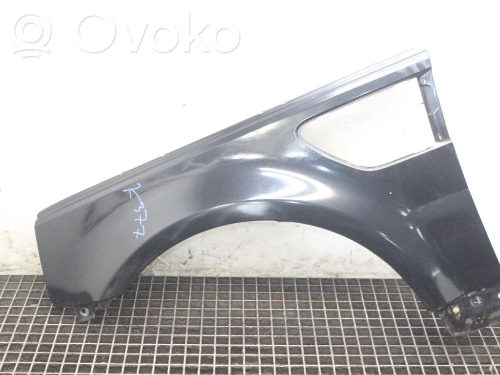 Parafango   SUMATRABLACK797