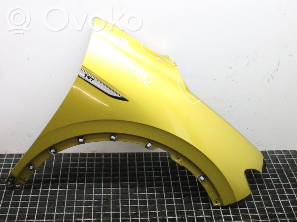 Parafango   G8B1W