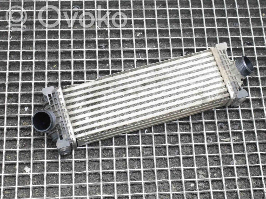 Interkūlerio radiatorius   GK216K755AE