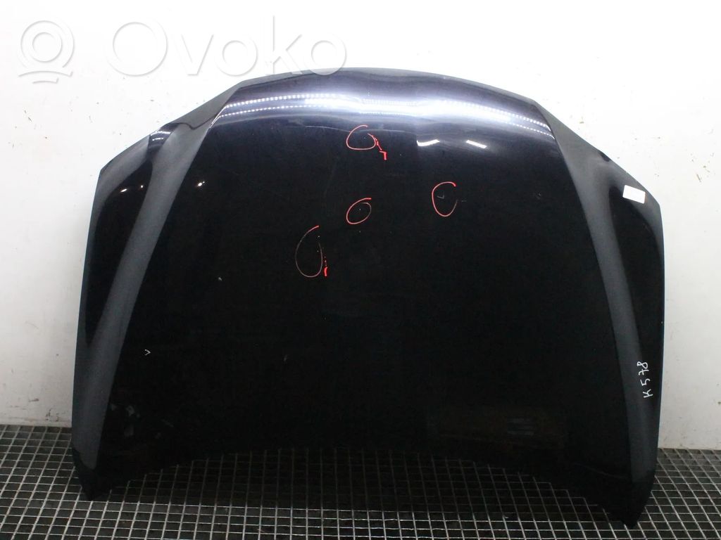 Engine bonnet/hood   COLORCODE214