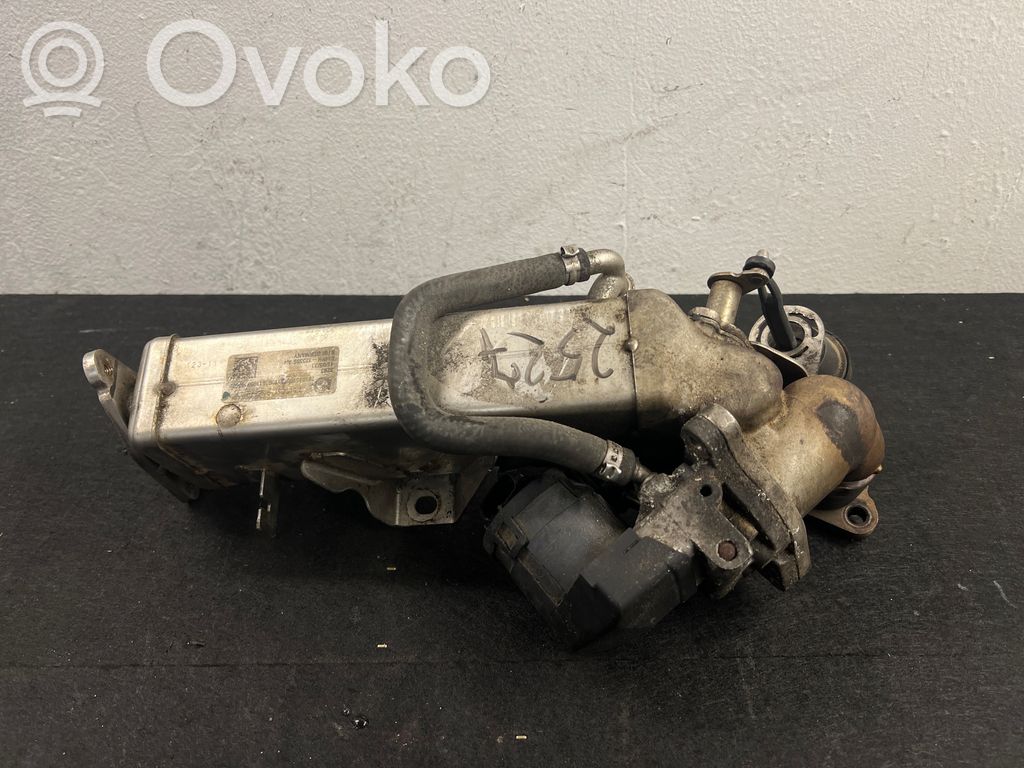 BMW 3 E90 E91 EGR dzesētājs 
