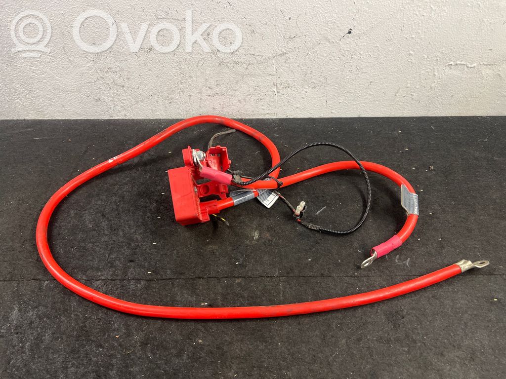 Positive cable (battery)   9127768,10304410,EEG36V
