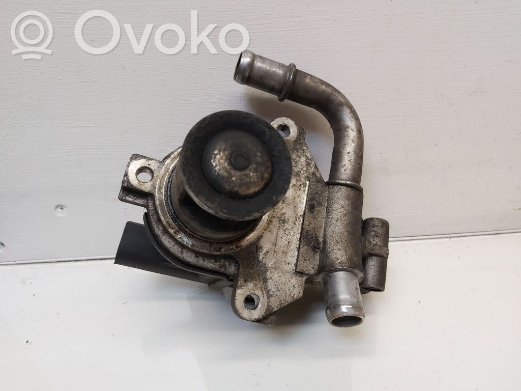 Nissan Juke I F15 EGR vārsts 