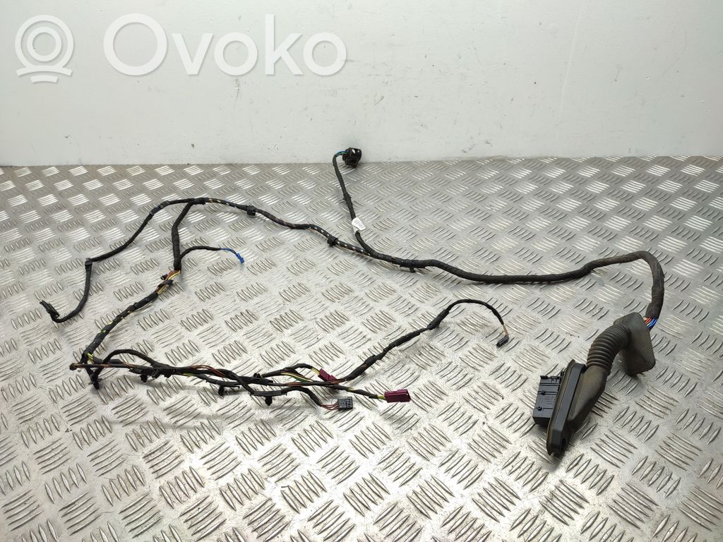 Mini Cooper Countryman R60 Wiązka przewodów drzwi tylnych 