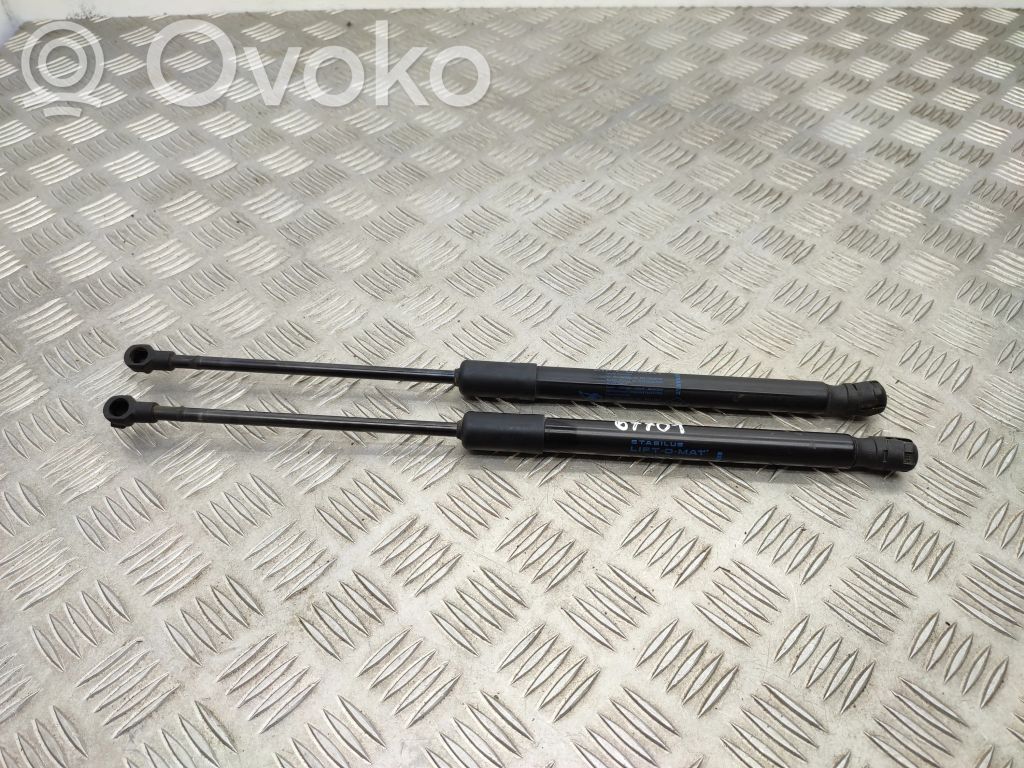Renault Kadjar Tailgate/trunk strut/damper 
