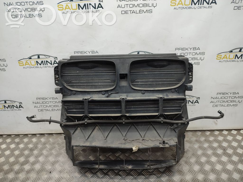 BMW X6 E71 Radiatoriaus oro nukreipėjas (-ai) 
