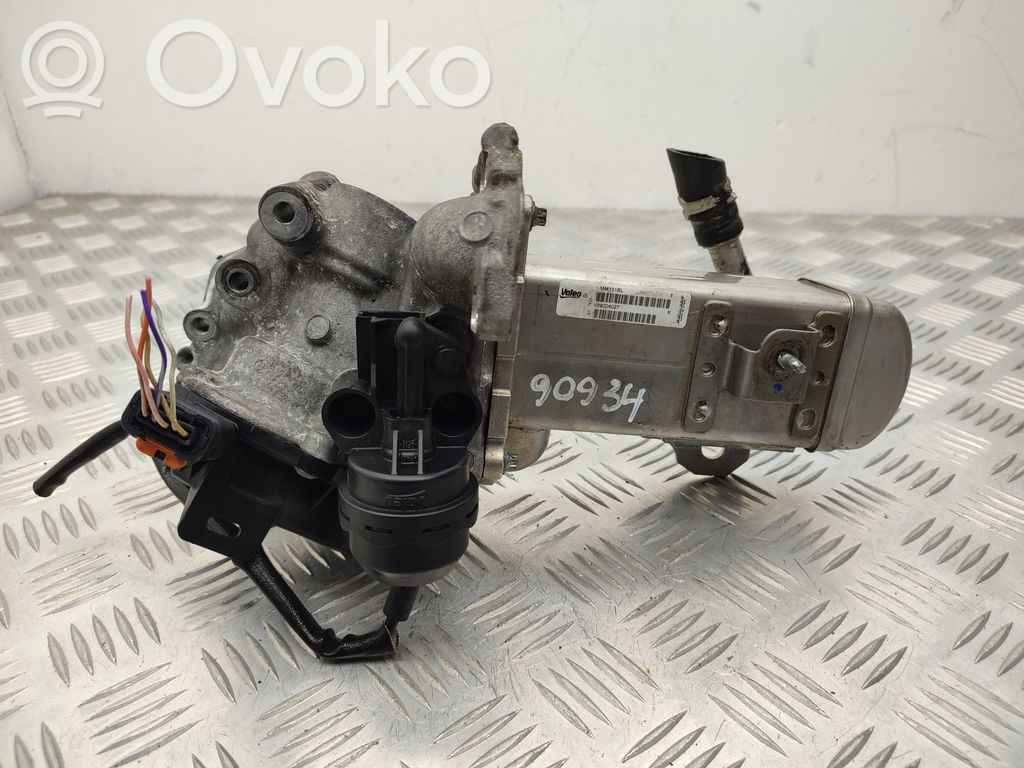 Citroen C5 Zawór EGR 