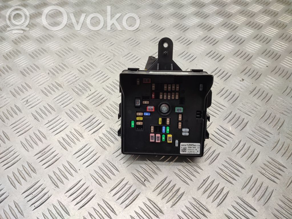 Fuse module   9859129580