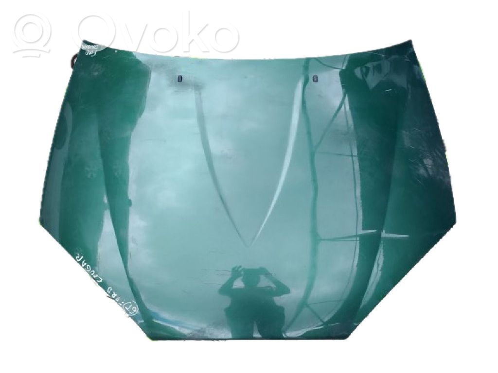 Engine bonnet/hood   19982001