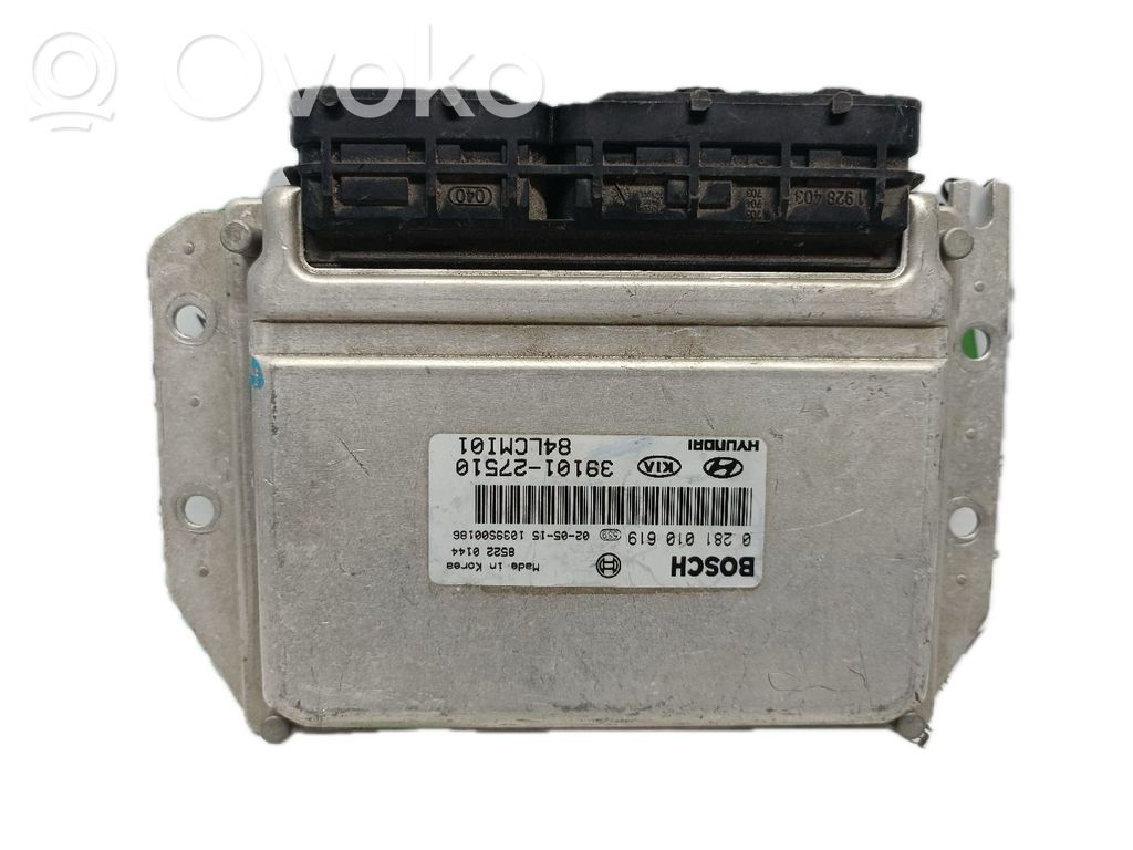 Engine control unit/module   3910127510