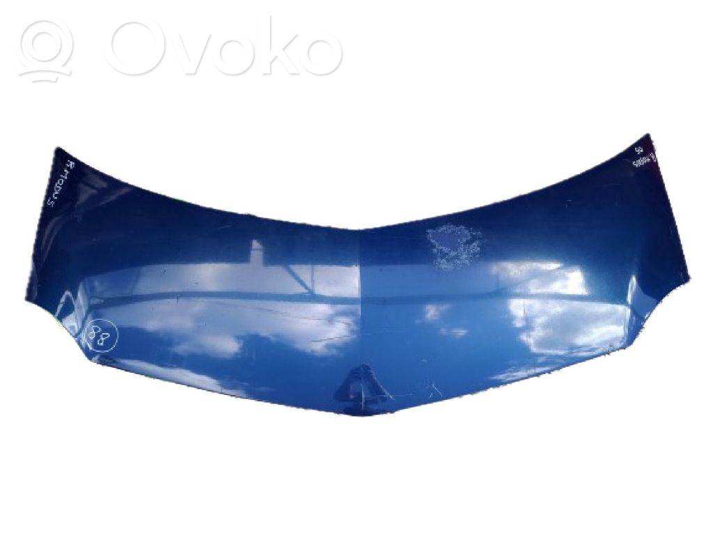 Engine bonnet/hood   20042009