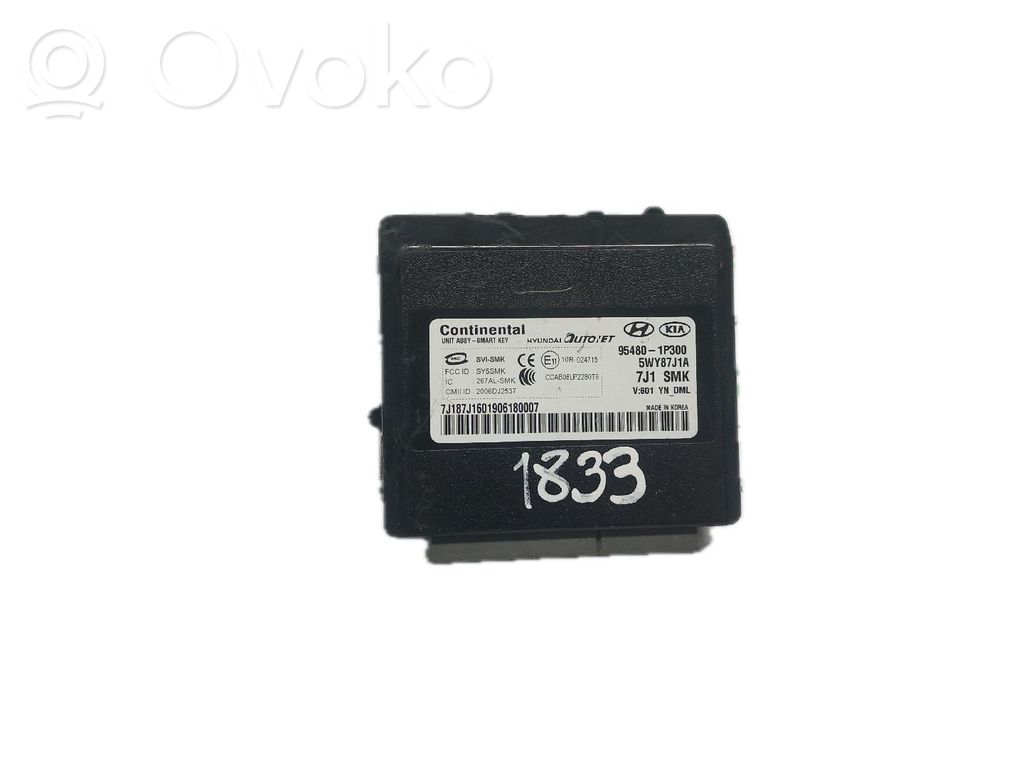 Sonstige Steuergeräte / Module   954801P300,5WY87J1A