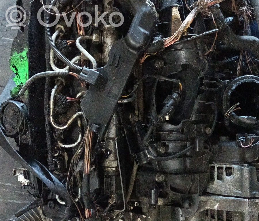 Dzinējs   N47D20C,QUEIMADO