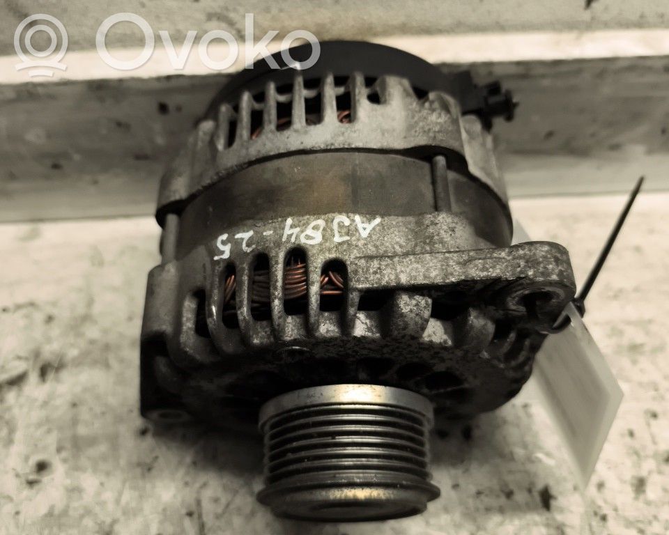 Generator/alternator   13579675