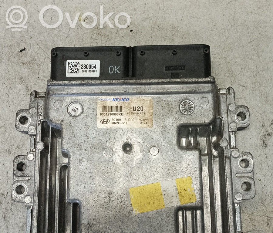 Engine control unit/module   9001230068KE,391992U9000