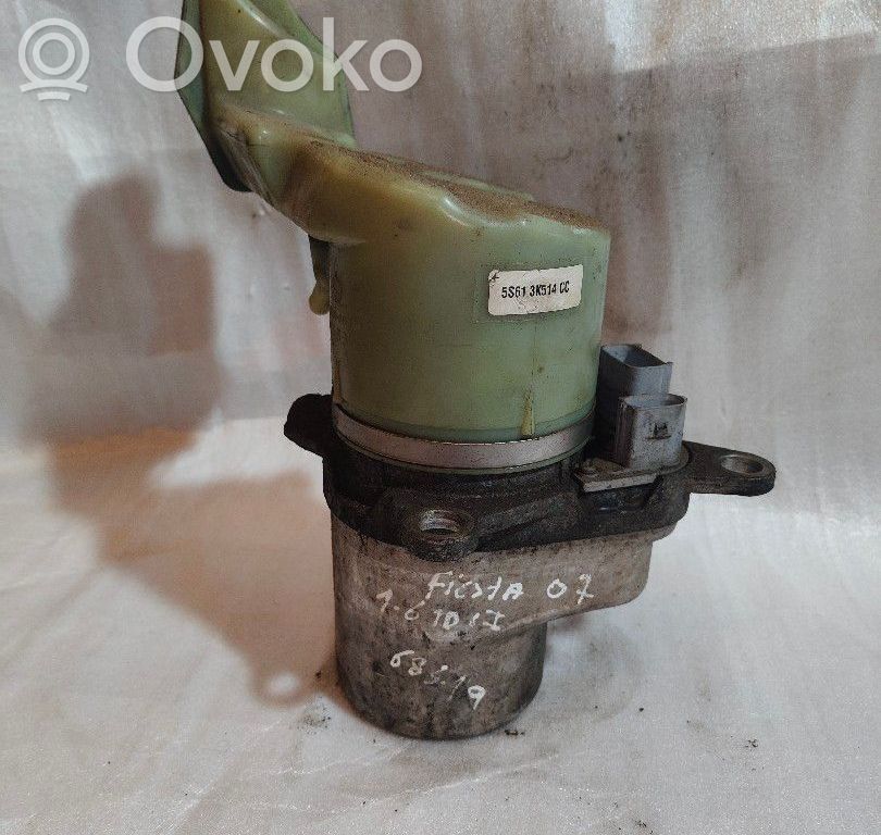 Servopumpe   5S613K514CC,MICKAEL