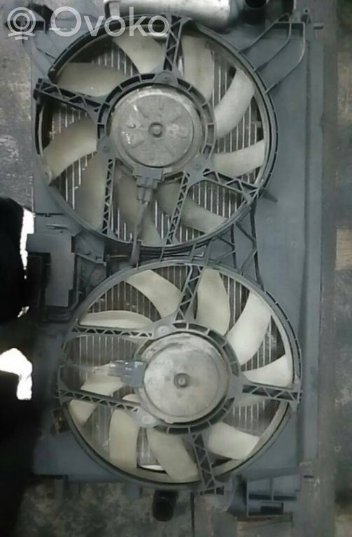 Elektrinis radiatorių ventiliatorius   AD1060,874678E