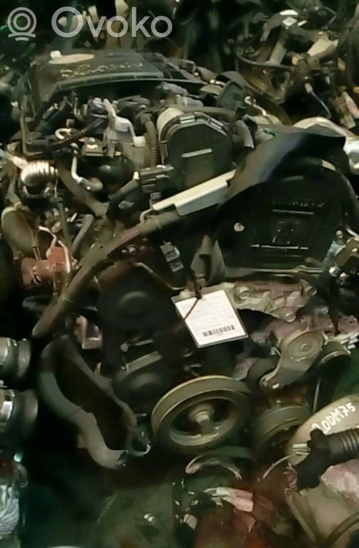 Motor   8HR,BRUNO,G1522020