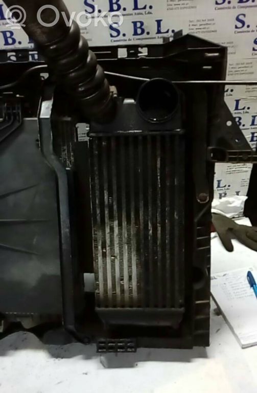 Intercooler radiator   8V519L440AE