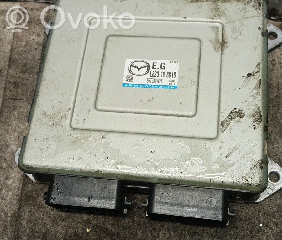 Engine control unit/module   L82318881B,BRUNO,E6T53976H1