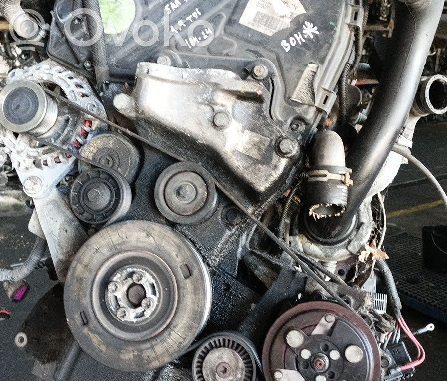Motor   Z19DT,BRUNO