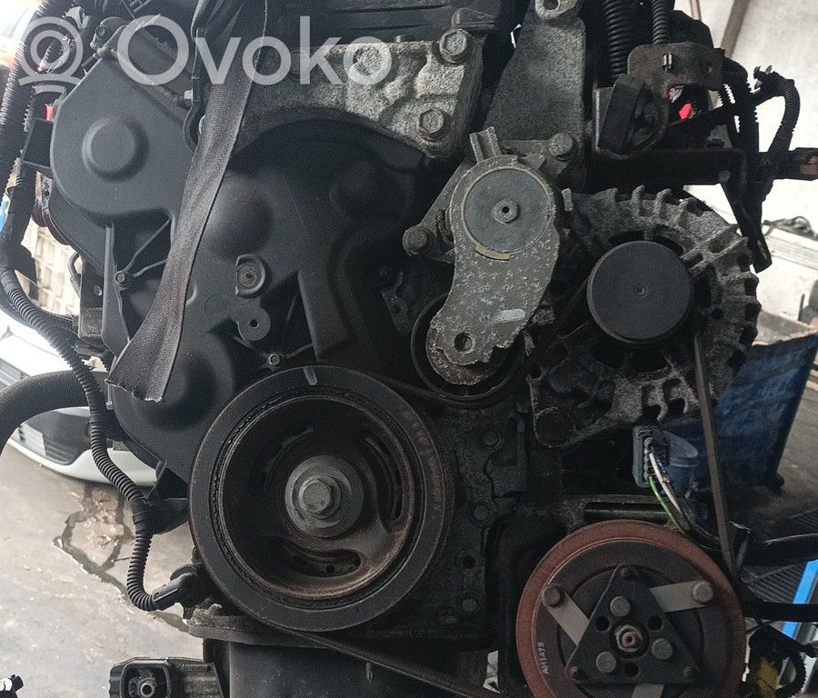 Motor   8HR,BRUNO