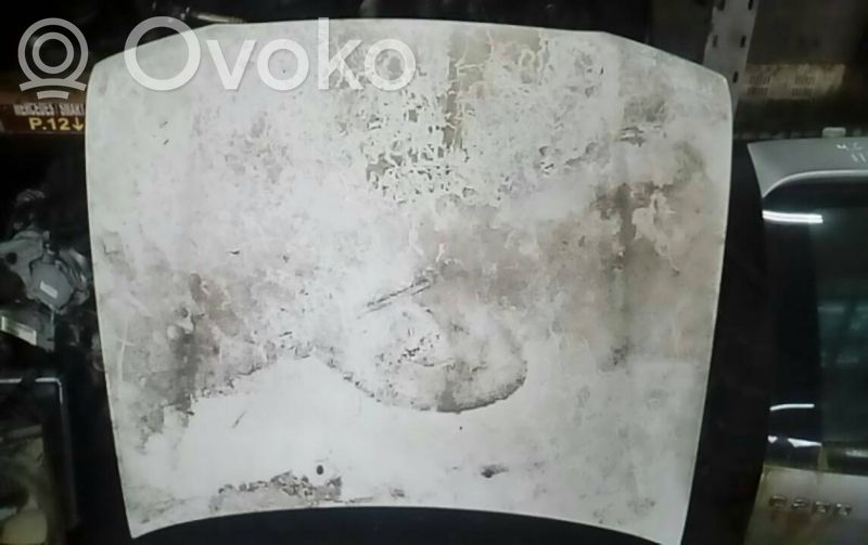Dzinēja pārsegs (vāks)