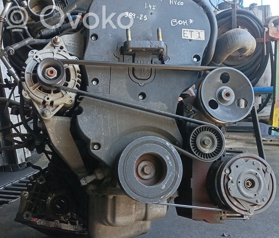 Motore   F14D3,BRUNO