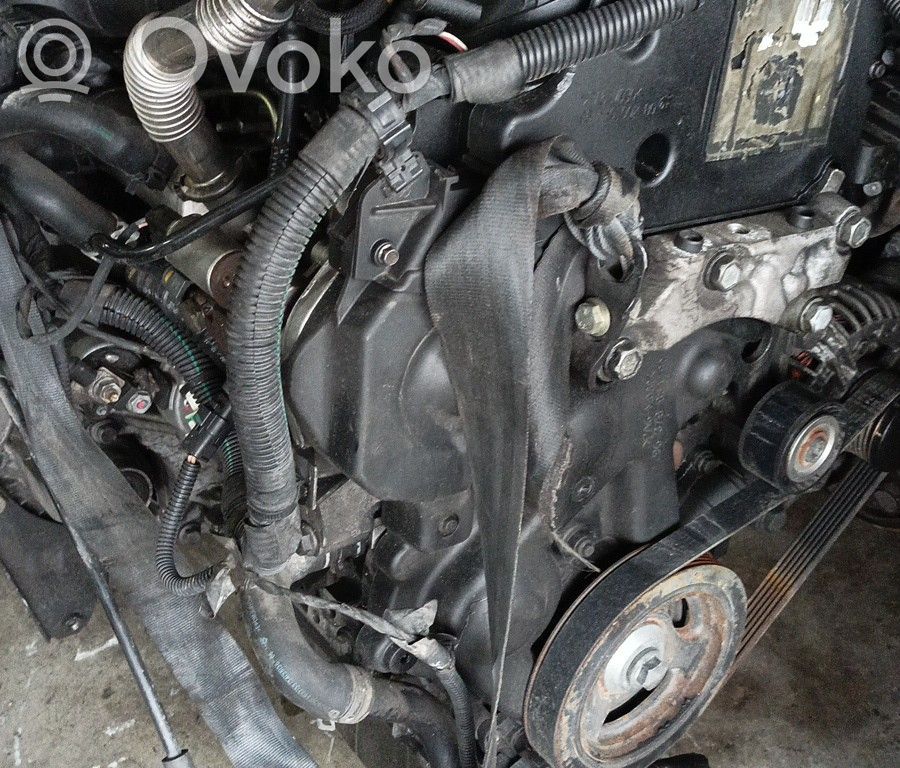 Motor   8HZ,BRUNO,CARGAZ862024