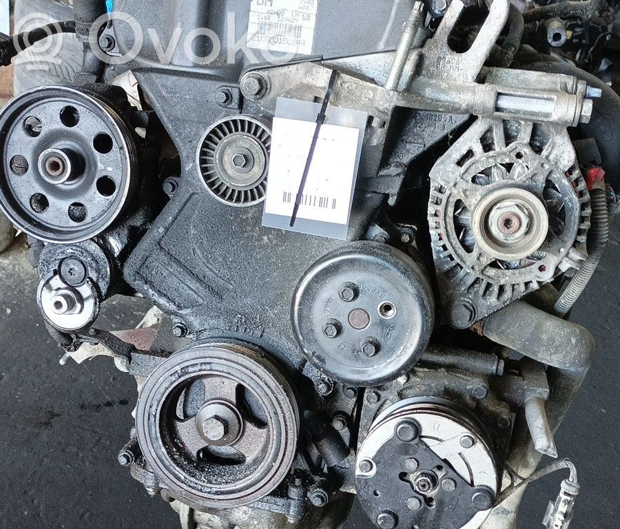 Motor   FYDB,BRUNO,CARGAAC222024