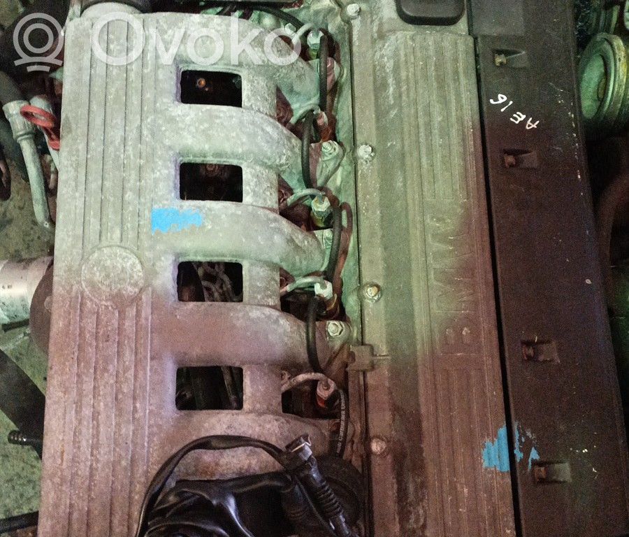 Motor   256T1,CARGAAE162024