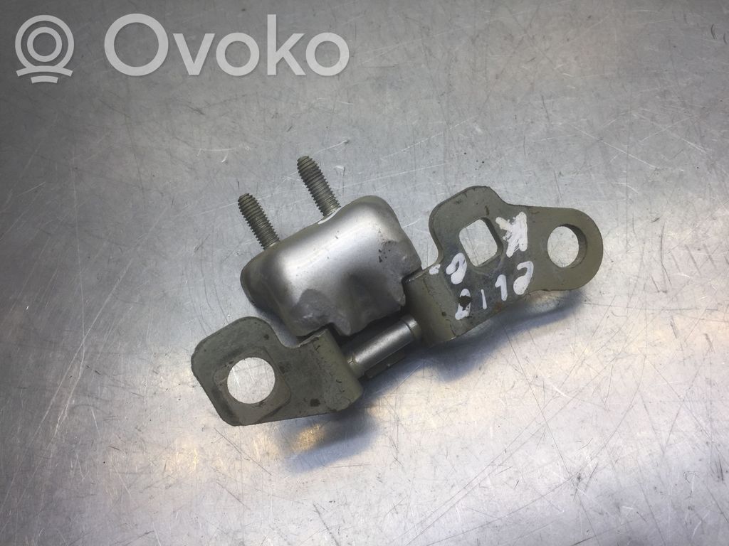 Renault Clio III Rear door lower hinge 