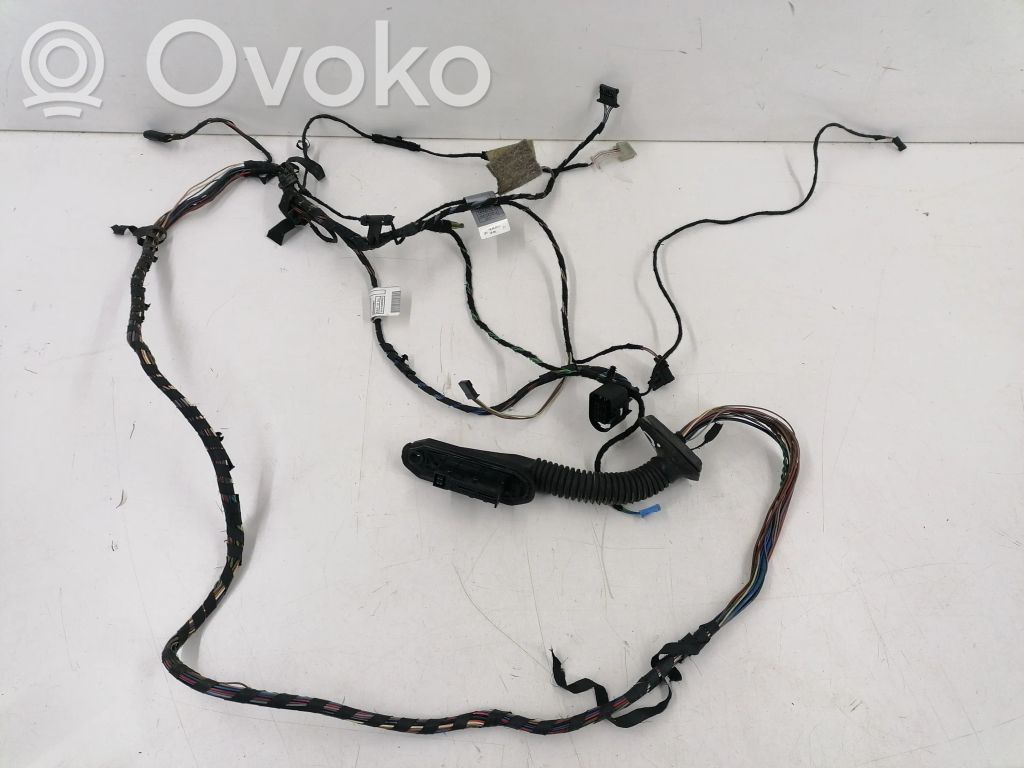 BMW X5 E70 Cableado de puerta trasera 