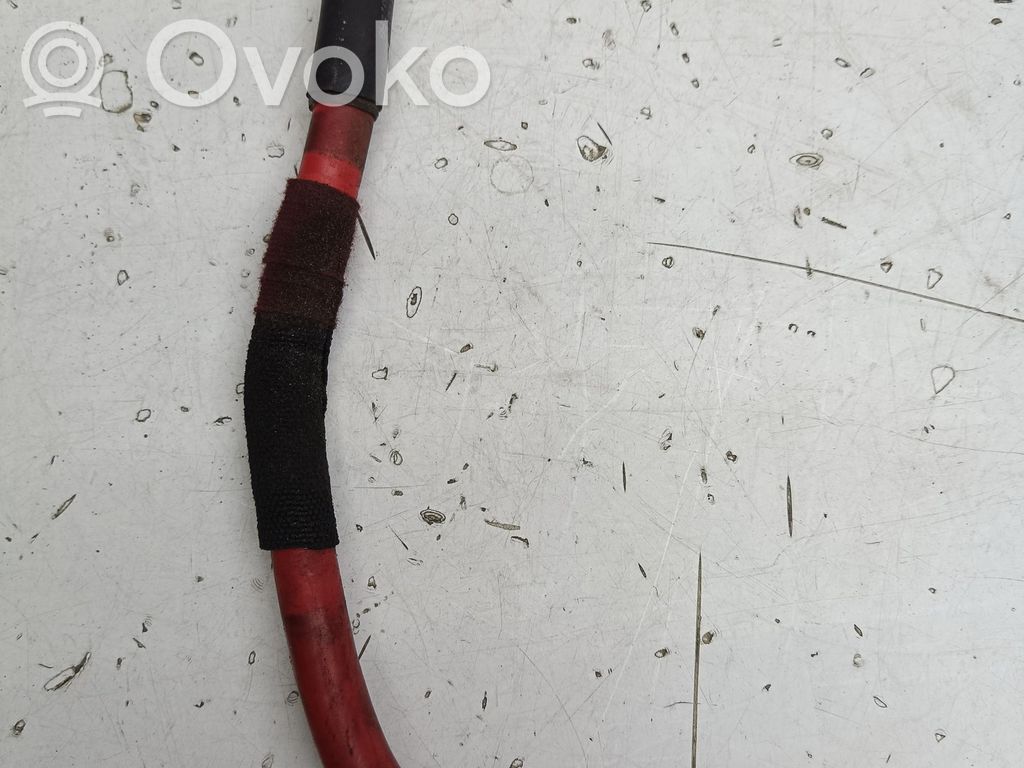 Pluskabel Batterie   C10000007