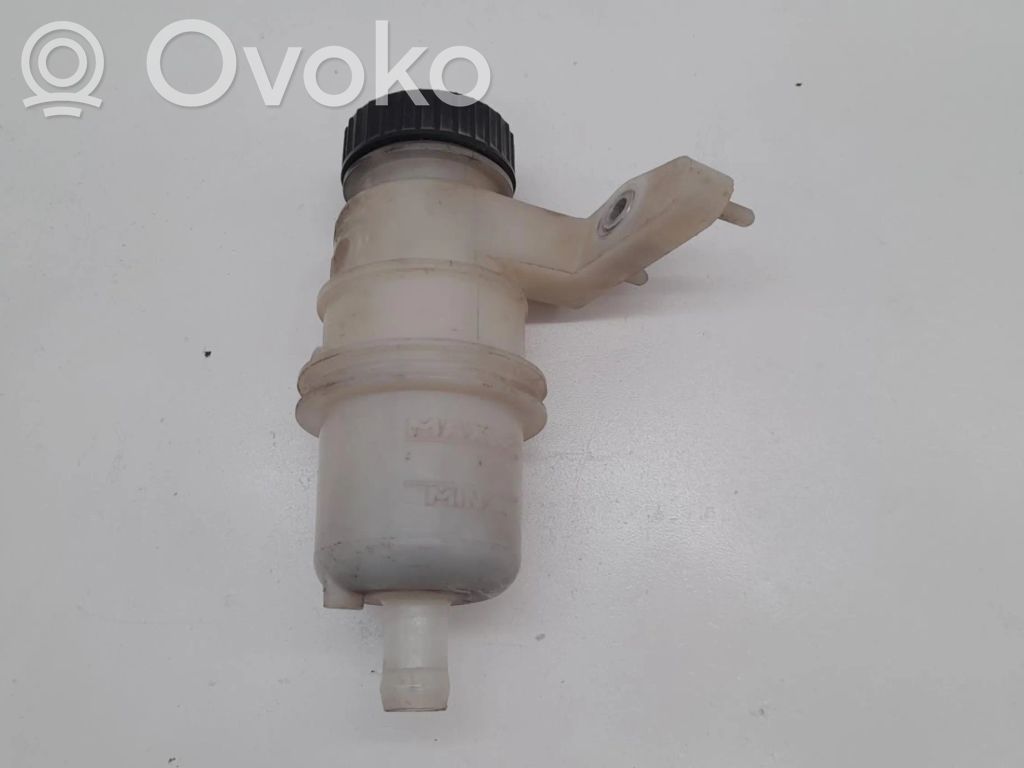 Vairo stiprintuvo skysčio bakelis   00258680
