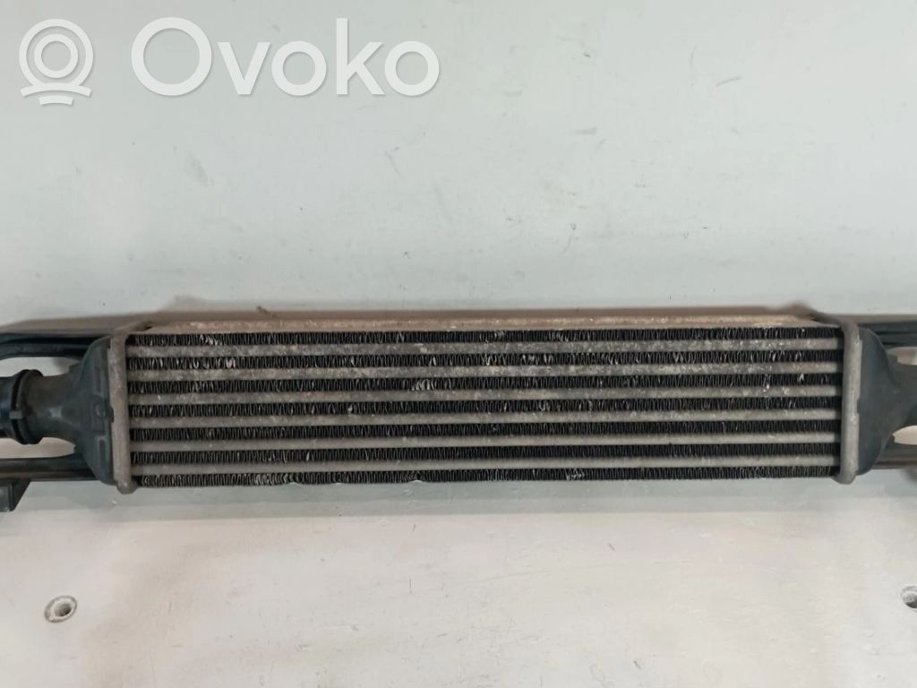Interkūlerio radiatorius   55702004