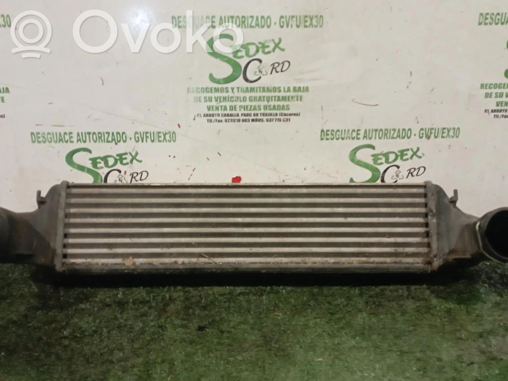 BMW 3 E46 Starpdzesētāja radiators 
