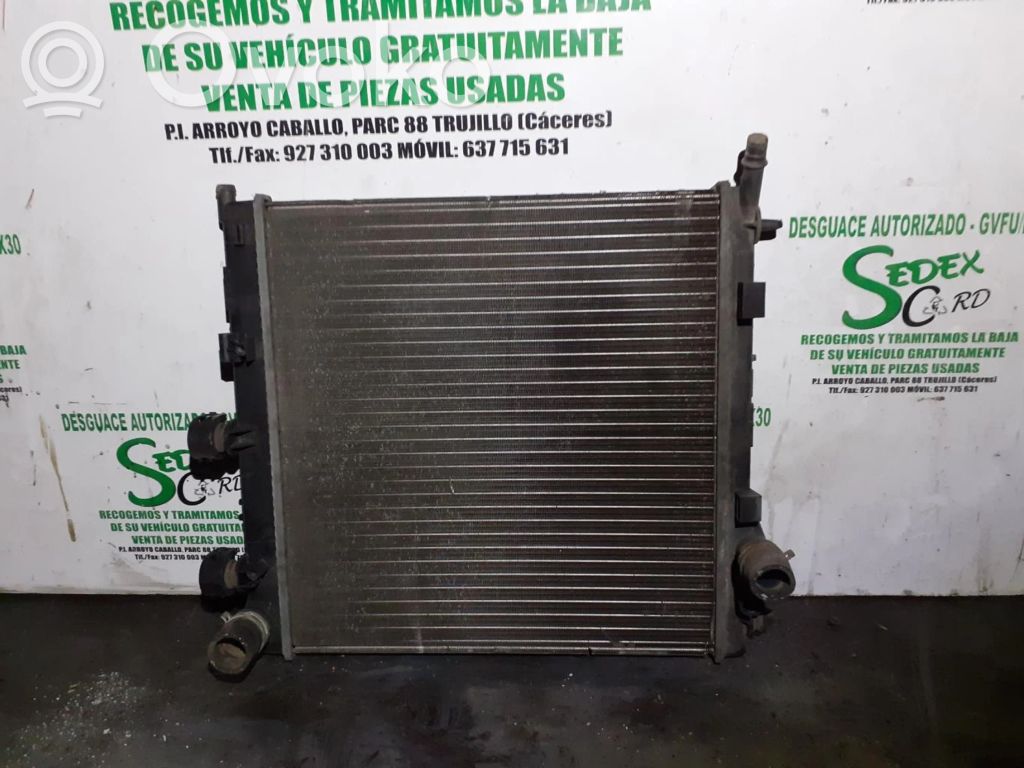 Citroen C3 Coolant radiator 