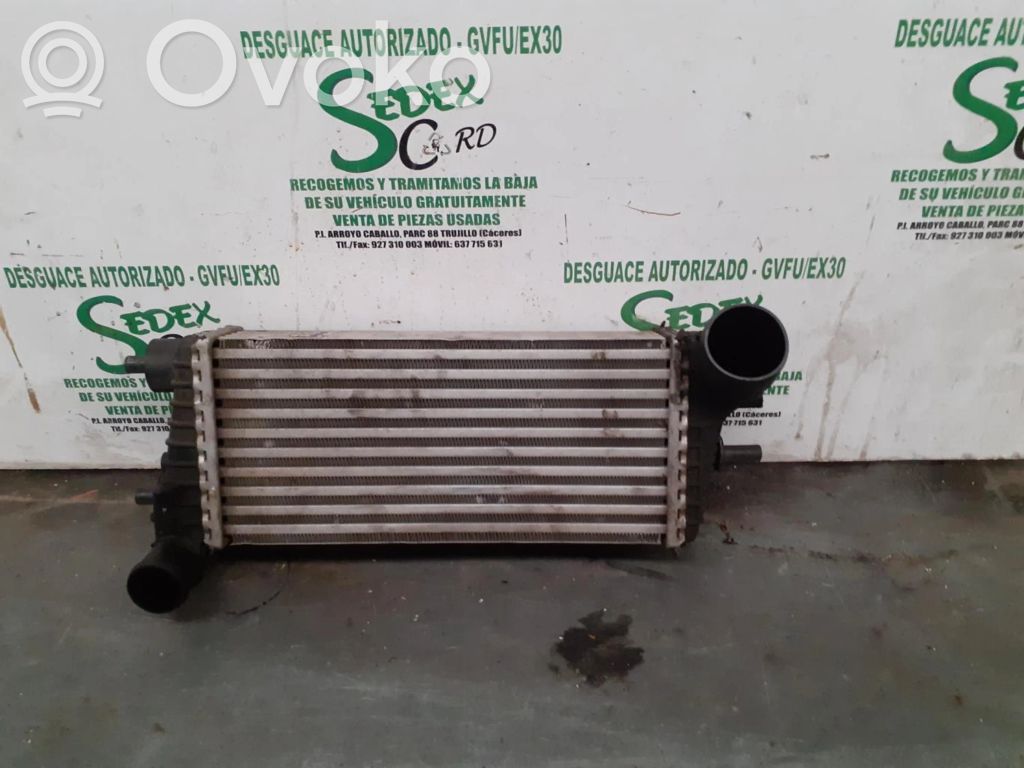 Radiador intercooler   BV619L440CE