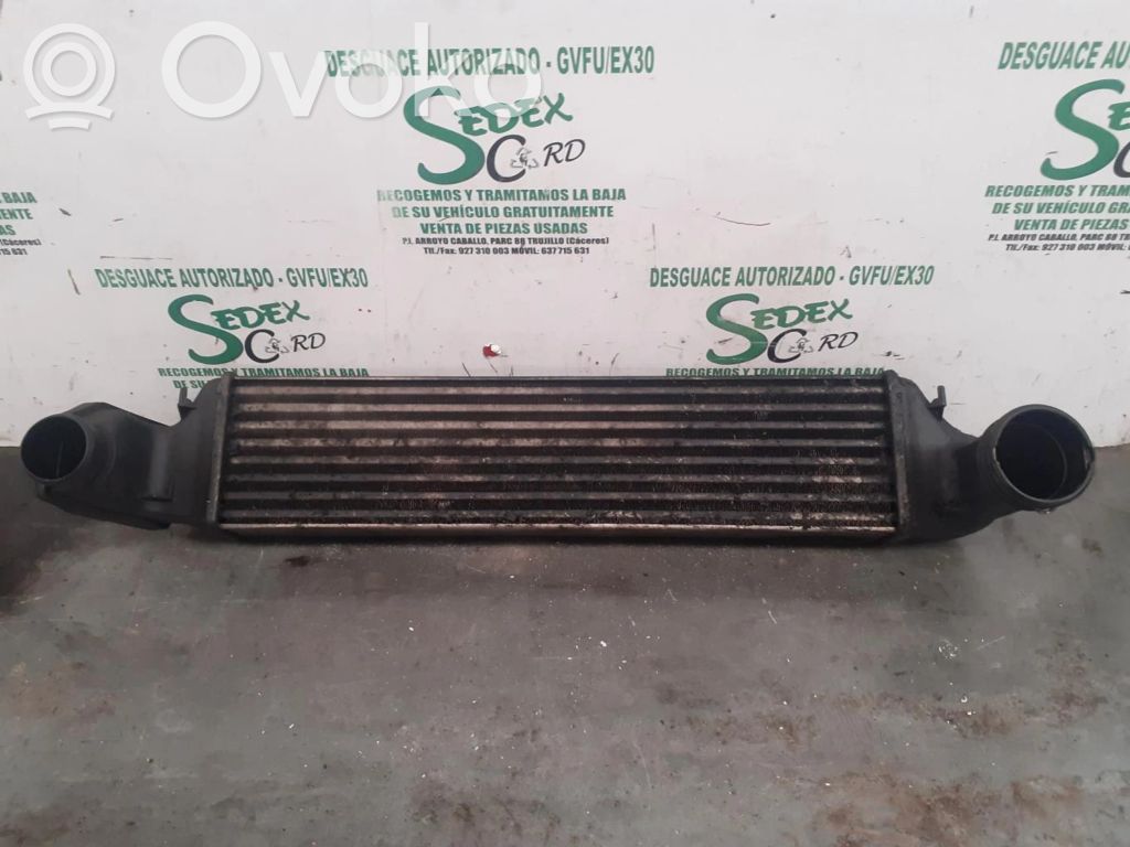 BMW 3 E46 Starpdzesētāja radiators 