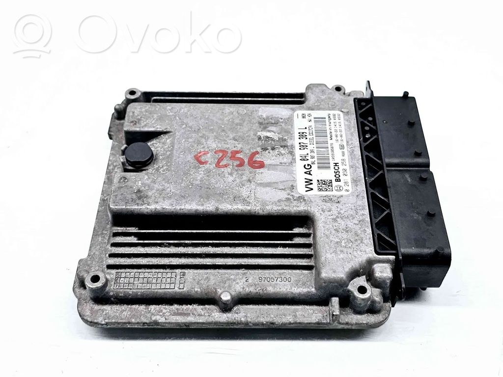 Engine control unit/module ECU