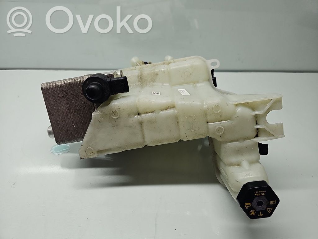 Aušinimo skysčio išsiplėtimo bakelis   109701600D