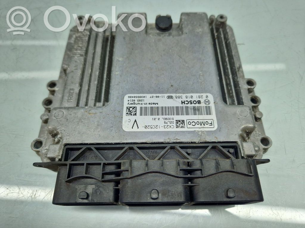 Engine control unit/module ECU   CX2312C520VC
