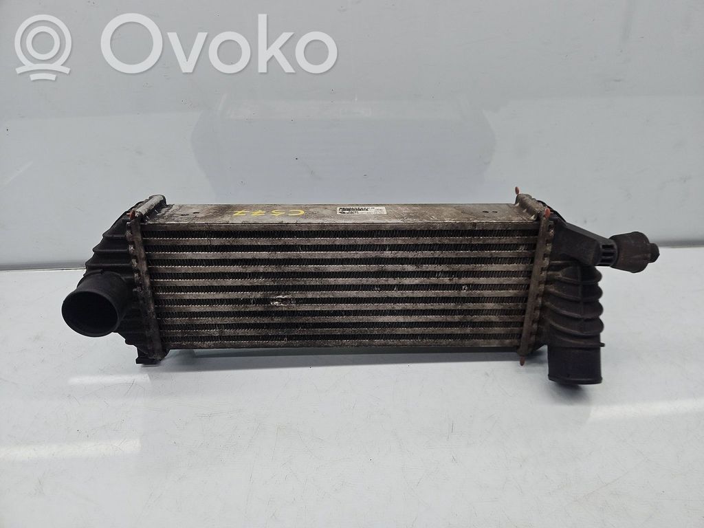 Interkūlerio radiatorius   8200427469